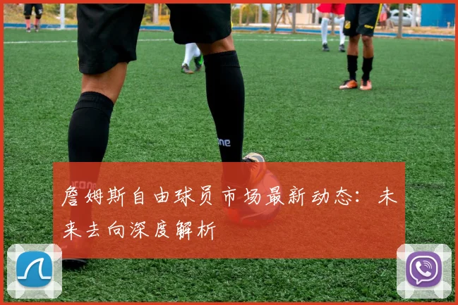 詹姆斯自由球员市场最新动态:未来去向深度解析