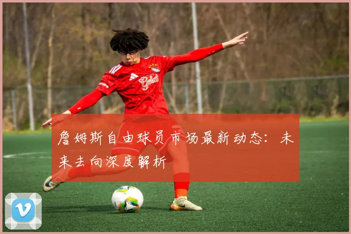 詹姆斯自由球员市场最新动态:未来去向深度解析